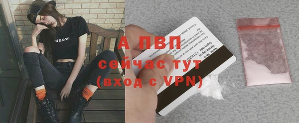 крисы Баксан