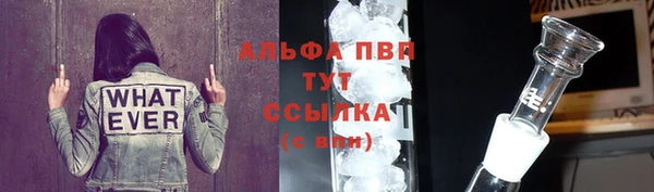 крисы Баксан