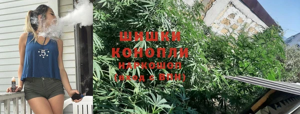 крисы Баксан