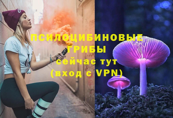 крисы Баксан