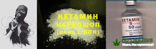 крисы Баксан