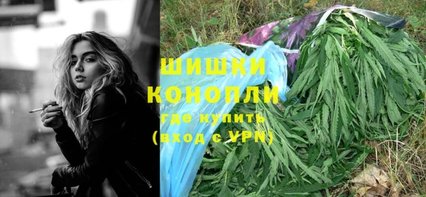 стаф Балахна
