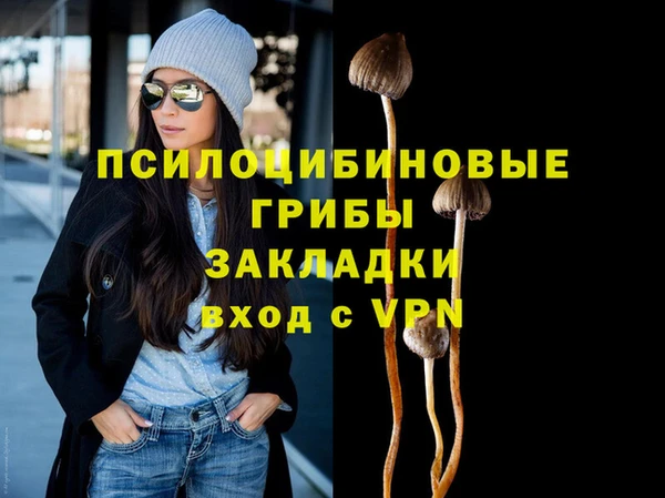 крисы Баксан