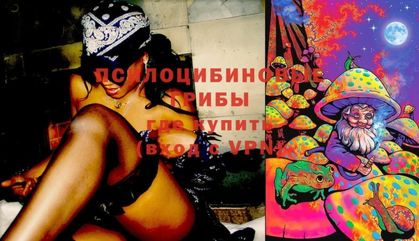 дживик Балабаново